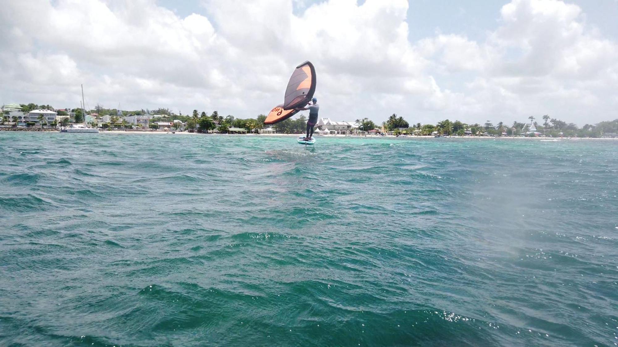 Cocodile Sainte-Anne (Grande-Terre)