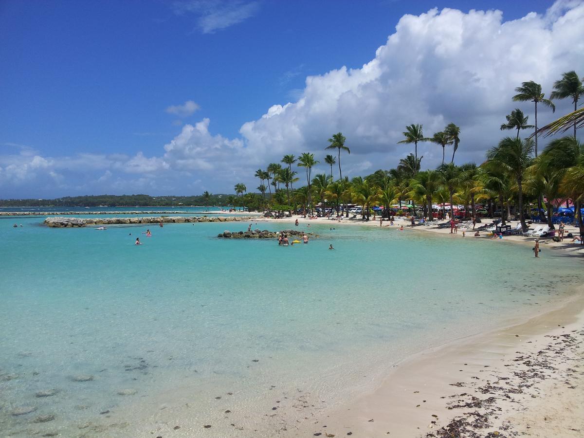 Hébergement de vacances Cocodile