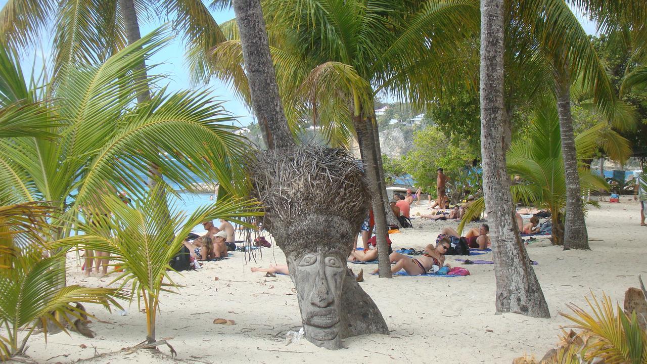 Cocodile * Sainte-Anne (Grande-Terre)